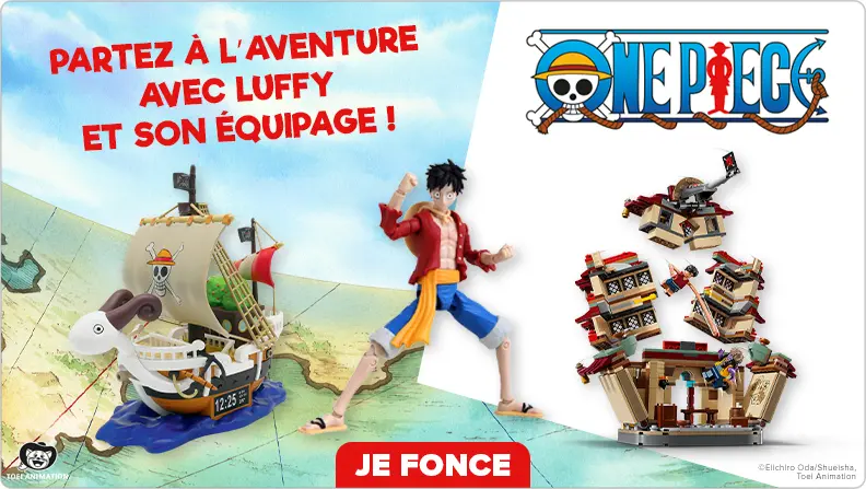 68c2d339be8f2 One Piece Vignette HP
