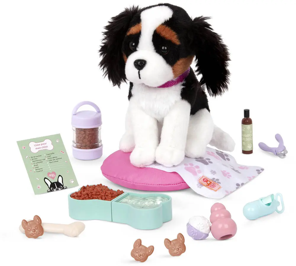29668-accessoires-petits-chiens-1.webp