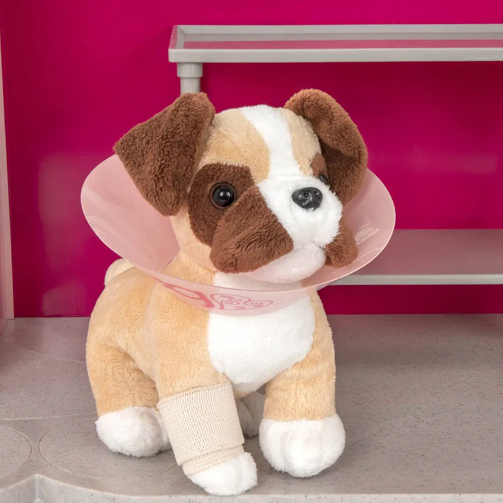29669-cabinet-veterinaire-1.webp