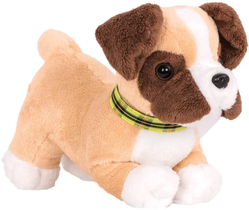 CHIEN BOXER