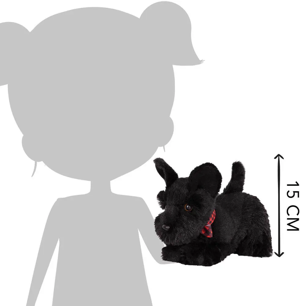 29671-chien-scottish-terrier-1.webp