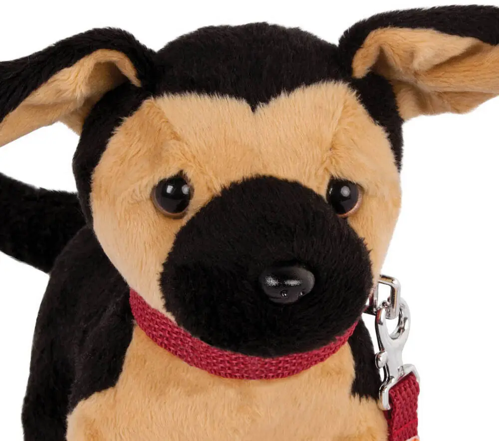 29672-chien-berger-allemand-1.webp
