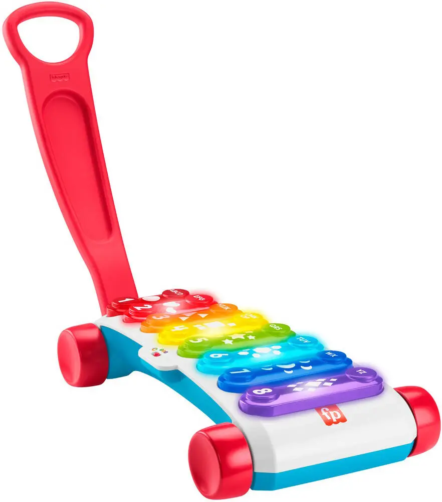 XYLOPHONE GEANT