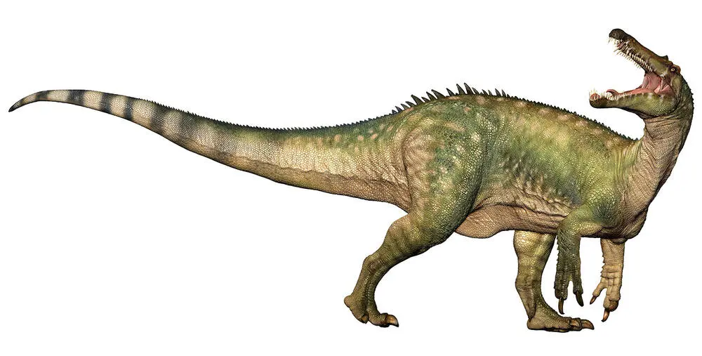 SUCHOMIMUS