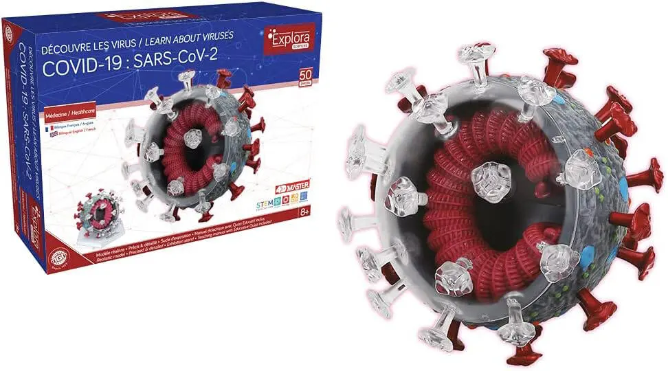 EXPLORA 4D MODEL ANATOMIE DU COVID19 CORONAVIRUS